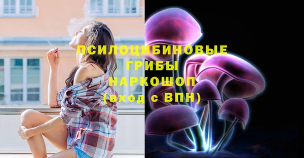 сатива Абинск