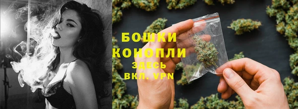сатива Абинск
