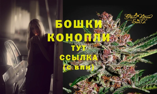 сатива Абинск