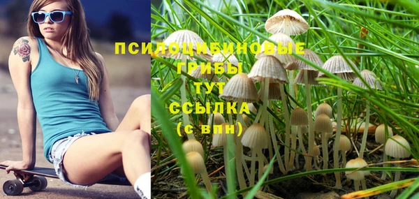 спайс Абдулино