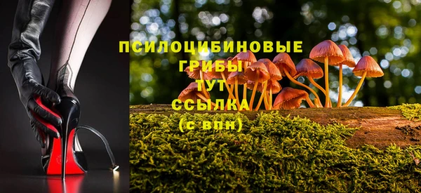 прущие грибы Алексеевка