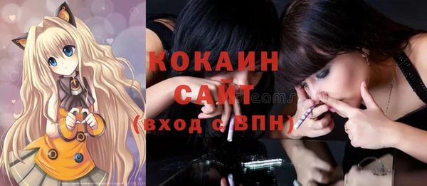 сатива Абинск