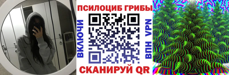 Псилоцибиновые грибы Psilocybine cubensis купить цена Сусуман